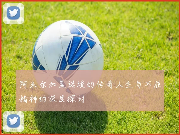 阿米尔加莱诺埃的传奇人生与不屈精神的深度探讨