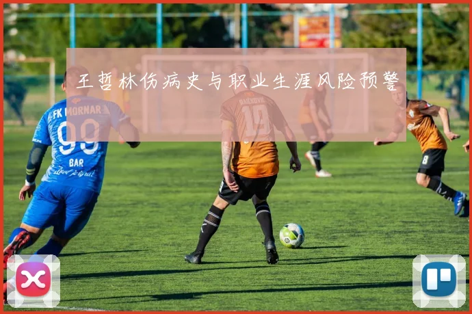 王哲林伤病史与职业生涯风险预警