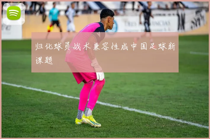 归化球员战术兼容性成中国足球新课题
