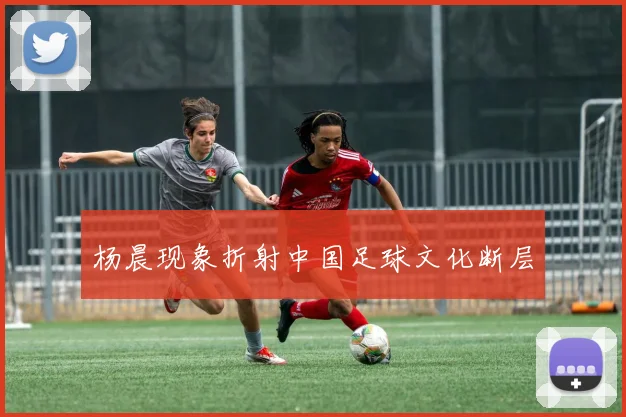 杨晨现象折射中国足球文化断层